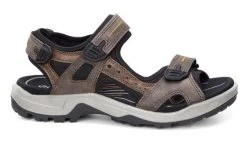 ECCO Men's Espresso/CocoaBrown/Black Yucatan Sandal 069564-56401 -Vogue Shoes 069564 56401 2