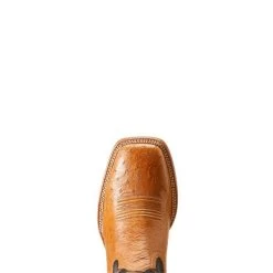 Ariat Antique Tan Smooth Quill Ostrich/Midnight Black 10046954 -Vogue Shoes 10046954 toe resized
