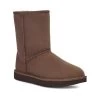 Ugg Burnt Cedar Classic Short II Women's Boots 1016223-BCDR -Vogue Shoes 1016223 bcdr 2 white bkg resized