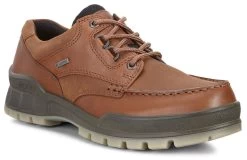 Ecco Bison Track 25 Mens Casual Shoes 831714-52600