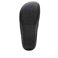 Alegria Carina Glacier Womens Thong Sandals CAR-221 -Vogue Shoes car 221 6t