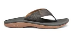 Cobian Grey Sumo Terra Mens Flip Flops STR23 -Vogue Shoes str23 020 1
