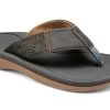 Cobian Grey Sumo Terra Mens Flip Flops STR23 -Vogue Shoes str23 020