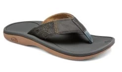 Cobian Grey Sumo Terra Mens Flip Flops STR23